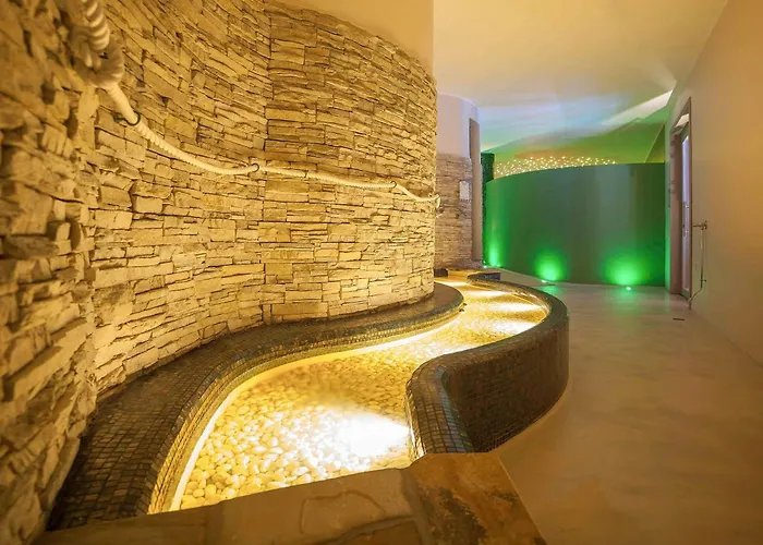 Animaux admis Mercure Olbia